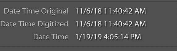 Screen Shot 2019-01-19 at 4.07.54 PM.jpg